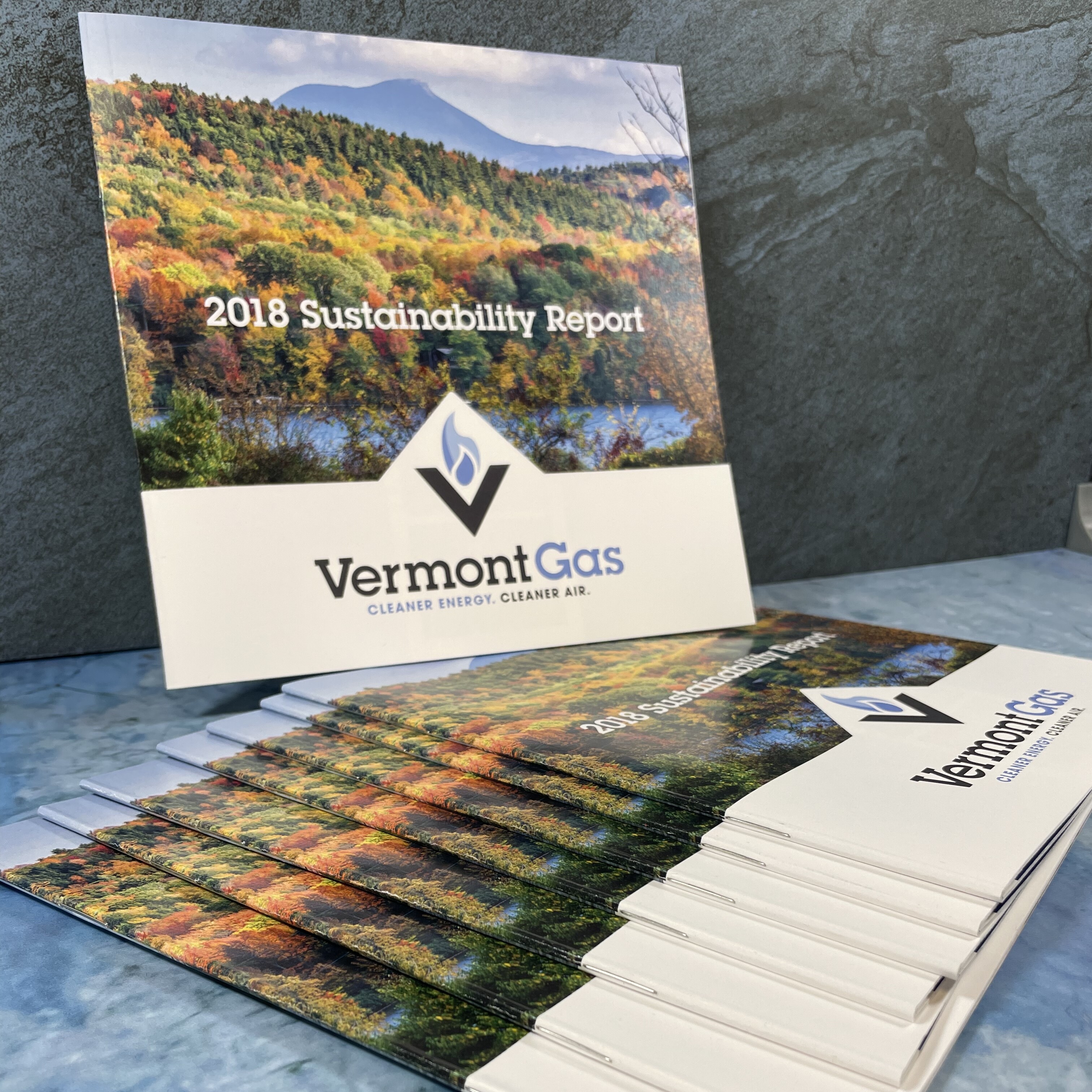 Sustainability Report for Vermont Gas